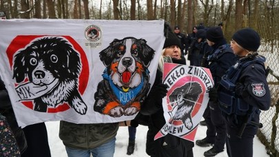 O tym schronisku głośno było w całej Polsce. Jest wyrok dla właściciela