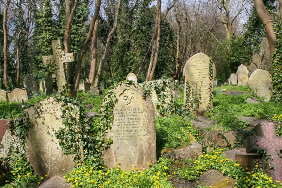 O wypadku poinformowała policja /Shutterstock