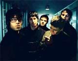 Oasis /