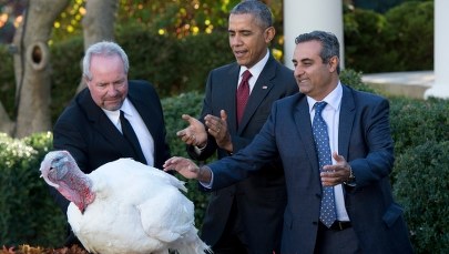 Obama ułaskawił indyki z okazji Święta Dziękczynienia