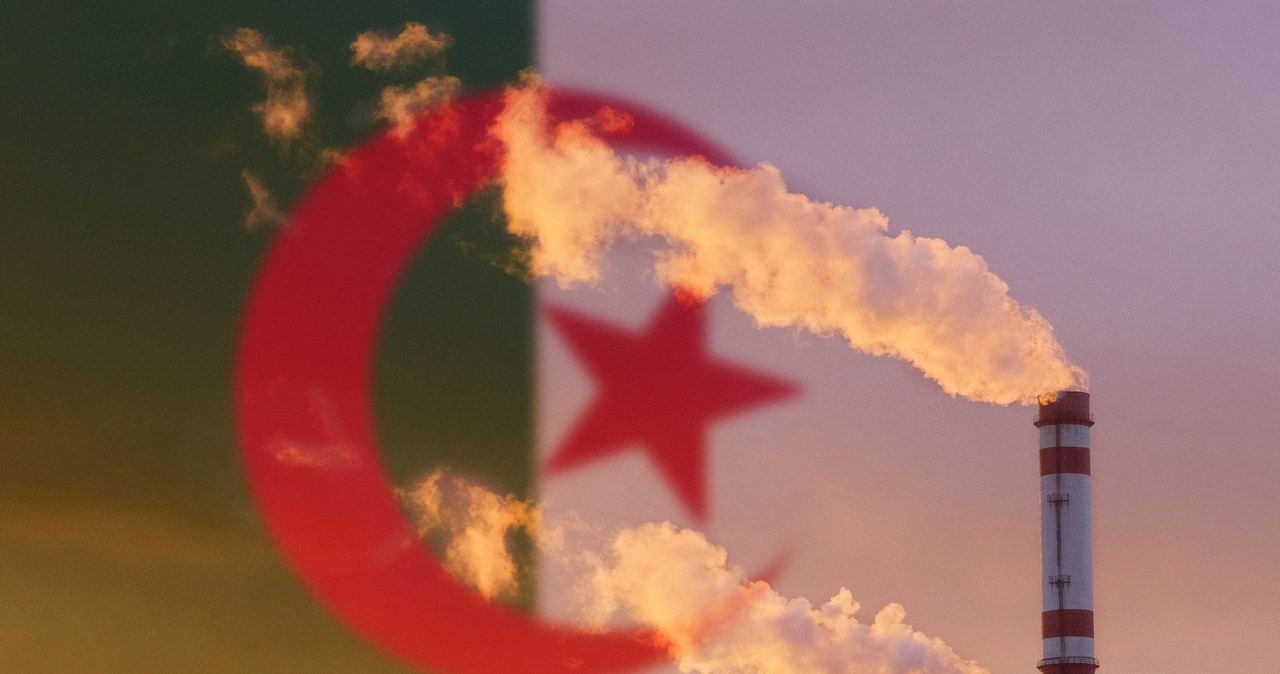 Obecnie Algieria jest drugim co do wielkości dostawcą gazu do Włoch /123RF/PICSEL