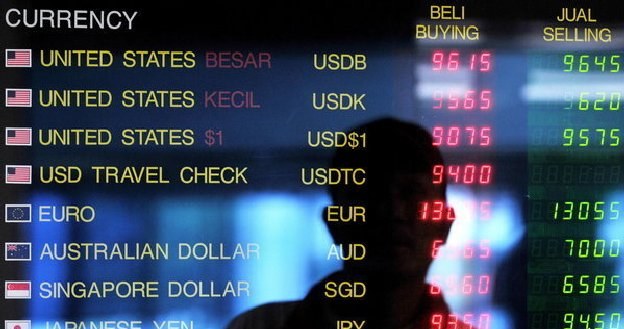 Obecny kurs złotego nie stanowi problemu dla gospodarki /AFP