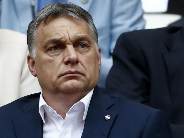 "Obecny rząd cechują w dużym lub znacznym stopniu nadużycia finansowe". Nz. V. Orban, premier Węgier /AFP