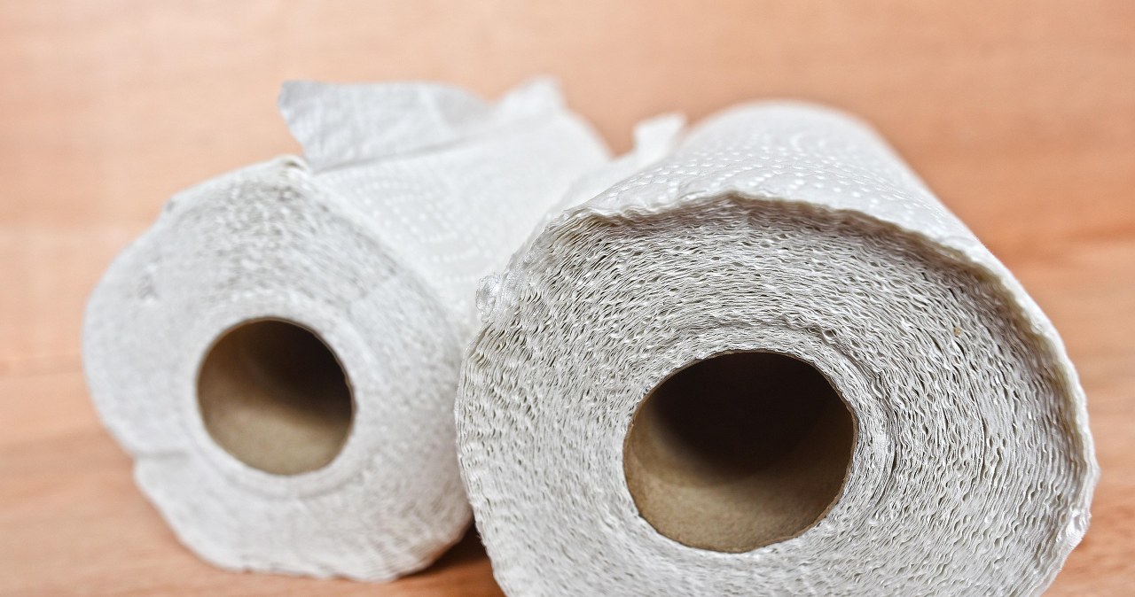 Обираючи паперові рушники, не економте на якості - це може бути небезпечно для вашого здоров'я /pixabay.com