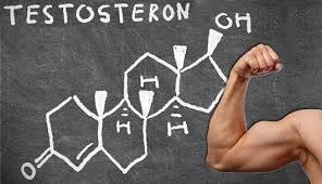 Objawy i powody niskiego testosteronu /© Photogenica