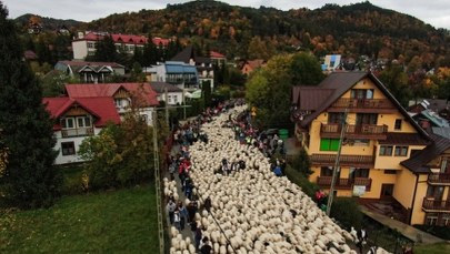 Oblężenie w Szczawnicy. Turyści nie mogli wydostać się z uzdrowiska
