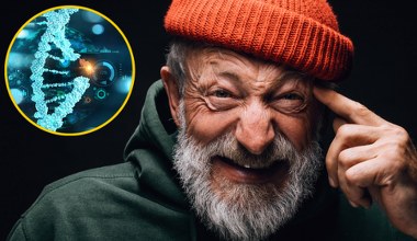 Obliczyli, w jakim stopniu za długowieczność odpowiadają geny. Wynik zaskakuje