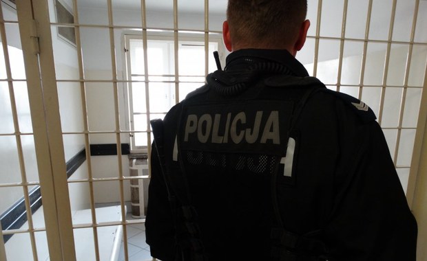 Obnażał się przed dziewczynkami. Przed policjantami próbował ukryć się w zaroślach