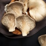 boczniaki Obniżą cholesterol, pomogą schudnąć, zastąpią mięso. Doskonałe dla cukrzyków