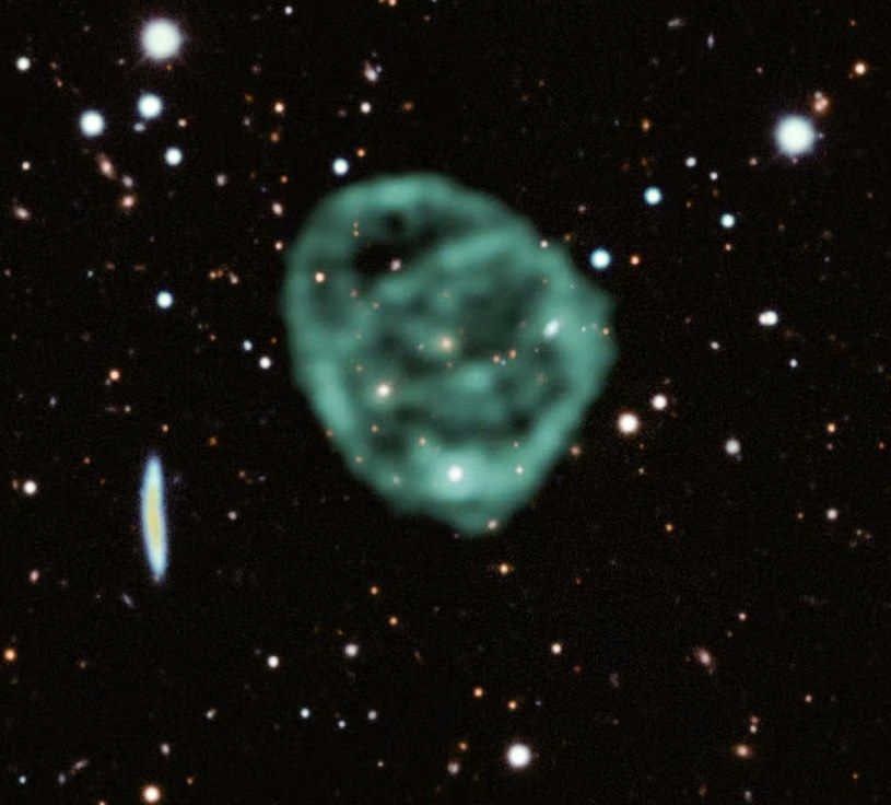 Obraz kręgu radiowego Odd ORC J2103-6200 wykonany przez teleskop MeerKAT nałożony na obraz optyczny z przeglądu Dark Energy Survey (2022). /Jayanne English MeerKAT/CC BY-SA 4.0 /Wikimedia