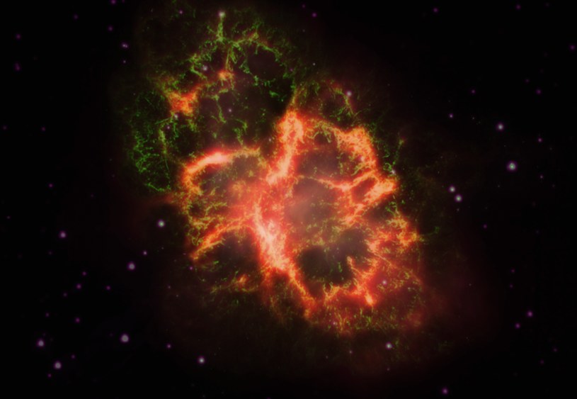 Obraz Mgławicy Kraba złożony z wyników obserwacji w świetle widzialnym (zielone), podczerwieni (czerwony) i ultrafiolecie (fioletowy) /materiały prasowe