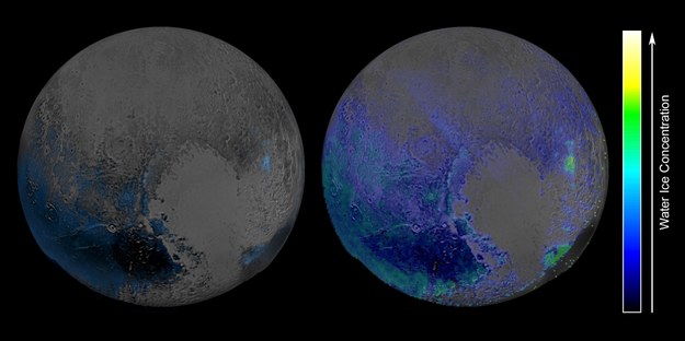 Obraz Plutona w podczerwieni /NASA/JHUIAPL/SwRI /materiały prasowe