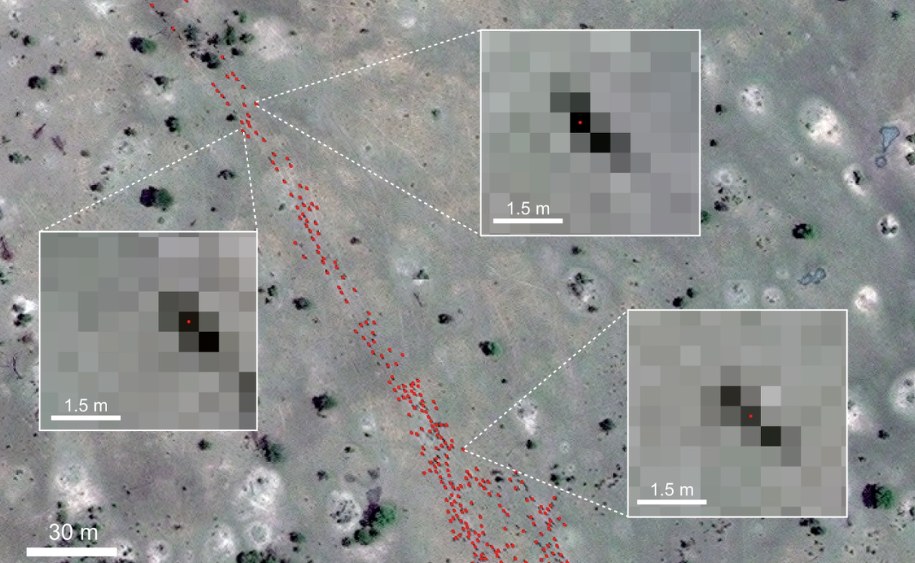 Obraz pojedynczych gnu na poziomie pikseli. Satelita WorldView-3. /Tiejun Wang /Materiały prasowe