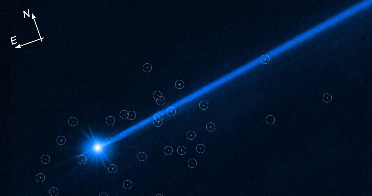 Obraz przedstawia asteroidę Dimorphos, kółkami zaznaczone zostały śledzone przez Hubble'a głazy. /NASA, ESA, David Jewitt (UCLA); Alyssa Pagan (STScI) /NASA