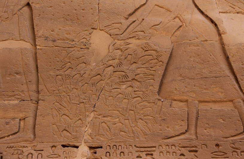 Obraz przedstawiający stos odciętych dłoni w egipskiej świątyni Medinet Habu /Steven C. Price /Wikimedia