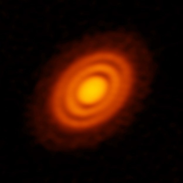 Obraz pyłu w dysku protoplanetarnym wokół gwiazdy HD 163296 /ALMA (ESO/NAOJ/NRAO); A. Isella; B. Saxton (NRAO/AUI/NSF) /Materiały prasowe