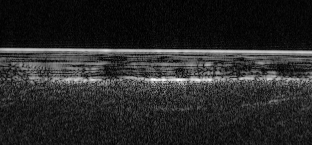 Obraz radarowy warstw gruntu, lodu i (najsilniejszy) powierzchni wody /ESA/NASA/JPL/ASI/Univ. Rome; R. Orosei et al 2018 /Materiały prasowe