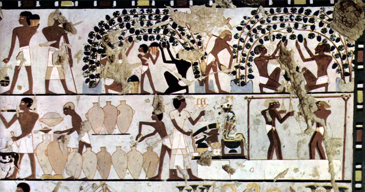 Obraz ukazujący uprawę winorośli, produkcję wina i handel nim w starożytnym Egipcie /Ägyptischer Maler /Wikipedia