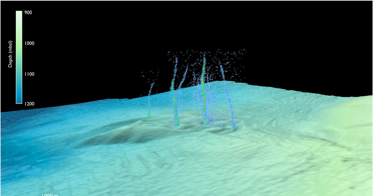 Obraz z sonaru, na którym widoczne są bąbelki wydostające sie z dna oceanu /Brendan T. Philip et al., 2023/CC BY 4.0 /materiał zewnętrzny