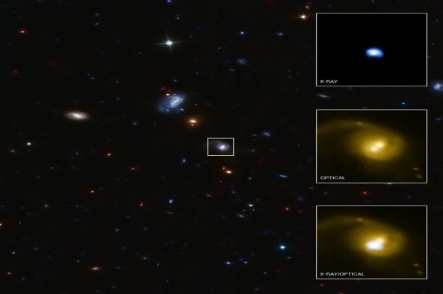 Obraz z teleskopu Chandra. Fot. NASA/CXC/SAO/F.Civano /materiały prasowe