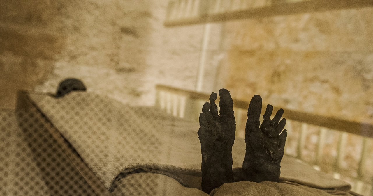 Obrazowanie egipskich mumii będzie jeszcze łatwiejsze /AFP