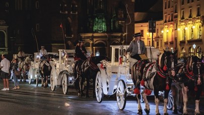 Obrońcy praw zwierząt protestują. "Kraków dba o konie jak żadne inne miasto"