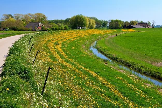 Obrót nieruchomościami rolnymi rodzi problemy /&copy;123RF/PICSEL