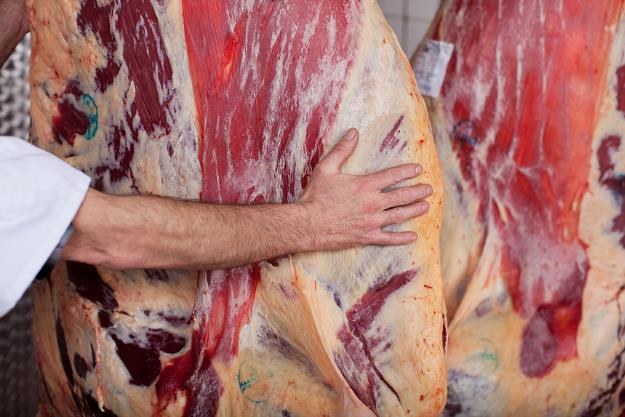 Oburzenie na produkcję wołowiny z chorych krów... /&copy;123RF/PICSEL