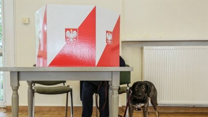 Obwieszczenie PKW o wynikach wyborów posłów do Parlamentu Europejskiego - w Dzienniku Ustaw