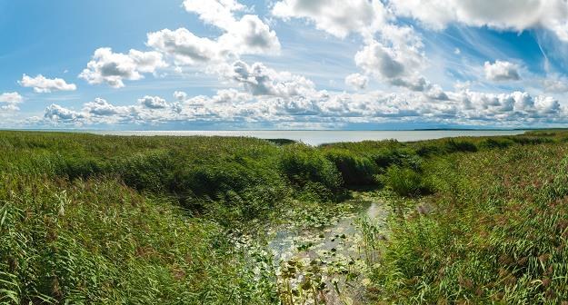 Obwód kaliningradzki kusi polskich inwestorów /&copy;123RF/PICSEL