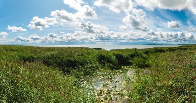 Obwód kaliningradzki kusi polskich inwestorów /&copy;123RF/PICSEL