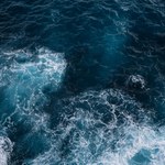 Ocean staje się ciemny i cichy. Naukowcy biją na alarm