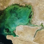 Ocean traci zieleń. Znika fundament życia w morzach