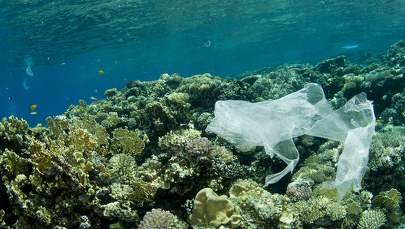Oceaniczne głębiny pełne plastiku