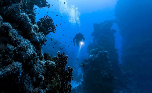Oceany ciemnieją na naszych oczach. Naukowcy alarmują: skutki mogą być globalne