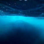 tajemnice Oceany pełne tajemnic. Niewyjaśnione dźwięki, legendy i niezwykłe gatunki życia