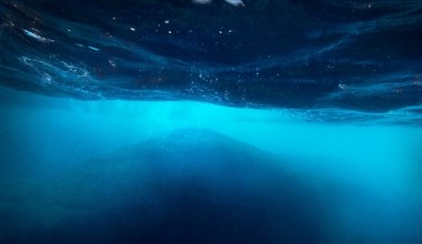 Oceany pełne tajemnic. Niewyjaśnione dźwięki, legendy i niezwykłe gatunki życia