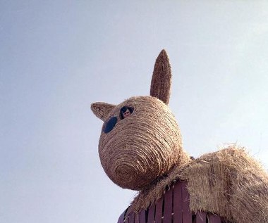 "Oczko mu się odlepiło. Temu misiu!" - pozostaje do dziś najsłynniejszym cytatem z filmu Barei