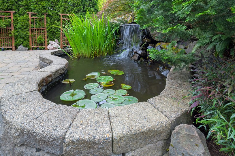 Oczko wodne stanowi piękną ozdobę i dopełnienie ogrodu w stylu włoskim /123RF/PICSEL