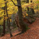 "Oczy Ziemi" zachwycają turystów. Niezwykłe miejsce w woj. świętokrzyskim