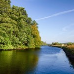 Oczyszczenie rzek z metali ciężkich. Sukces naukowców z Anglii