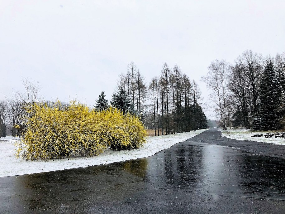 Od 1 kwietnia Ogród Botaniczny w Łodzi zaprasza na zwiedzanie /Agnieszka Wyderka /RMF FM