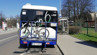 Od 1 maja więcej więcej kursów na autobusowych liniach rekreacyjnych w Krakowie 