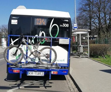 Od 1 maja więcej więcej kursów na autobusowych liniach rekreacyjnych w Krakowie 