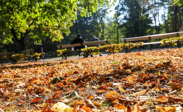 Od 2 do 20 stopni. Ogromna różnica temperatury w Polsce