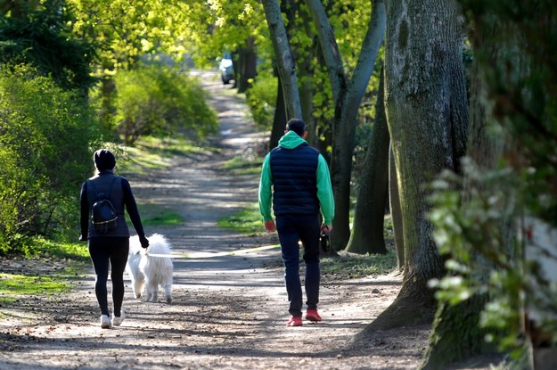 Od 20 kwietnia rząd złagodził przepisy podczas pandemii koronawirusa. Od dziś można przebywać w parkach , lasach i terenach zielonych w celu rekreacyjnym / 	Marcin Bielecki    /PAP