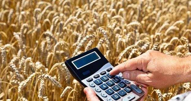 Od 2014 r. rolnicy będą płacić podatek dochodowy /&copy;123RF/PICSEL