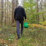 Od borowika do bagażnika. Jak w lesie trafić do samochodu?