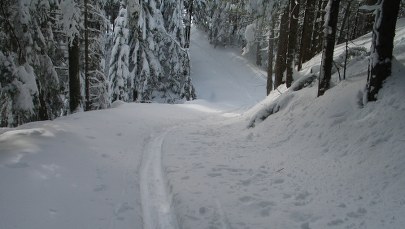 Od czwartku zakaz poruszania się po TPN po zmroku