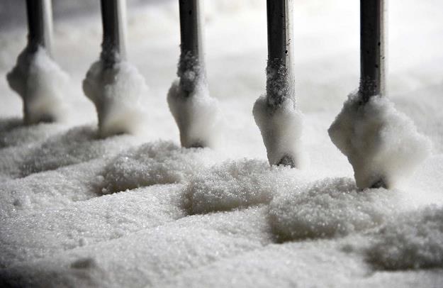 Od dwóch lat wzrasta produkcja cukru w Europie /AFP